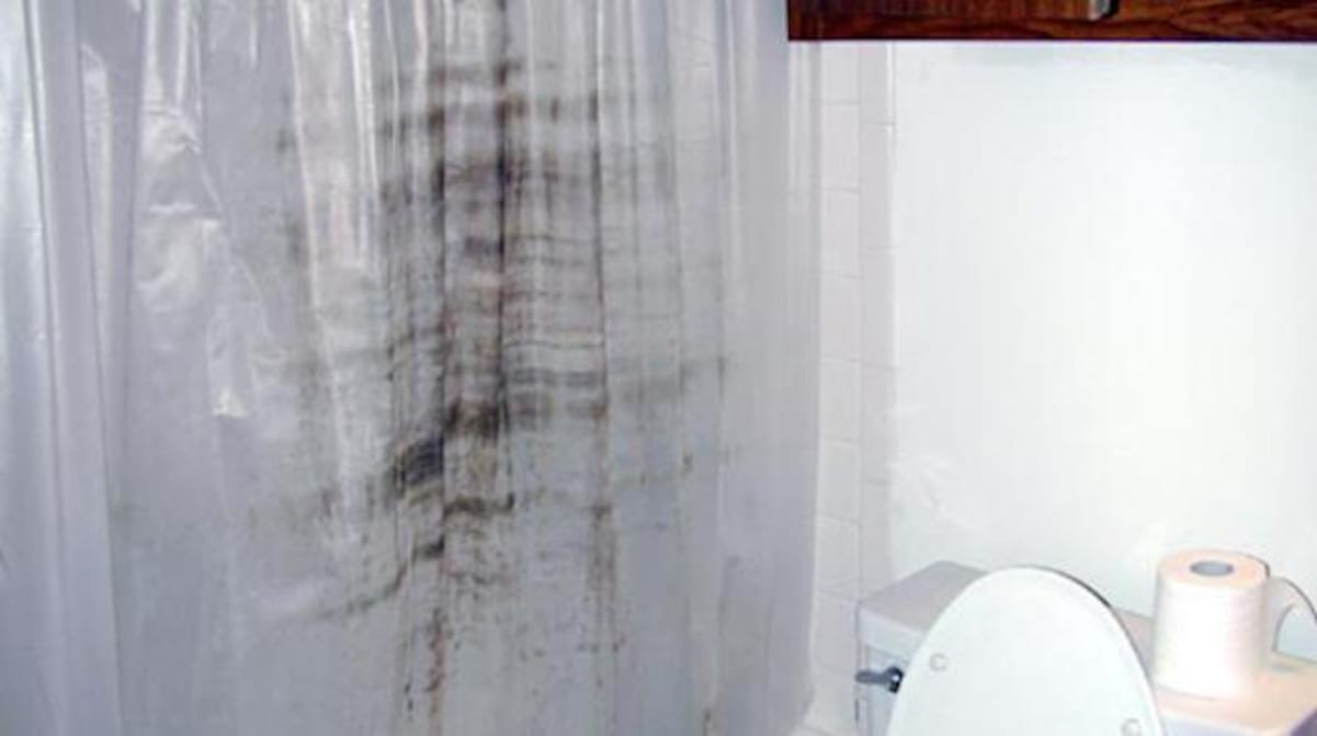 Comment Nettoyer Un Rideau De Douche En Plastique Moisi ? La dedans Nettoyer Moisissure Douche