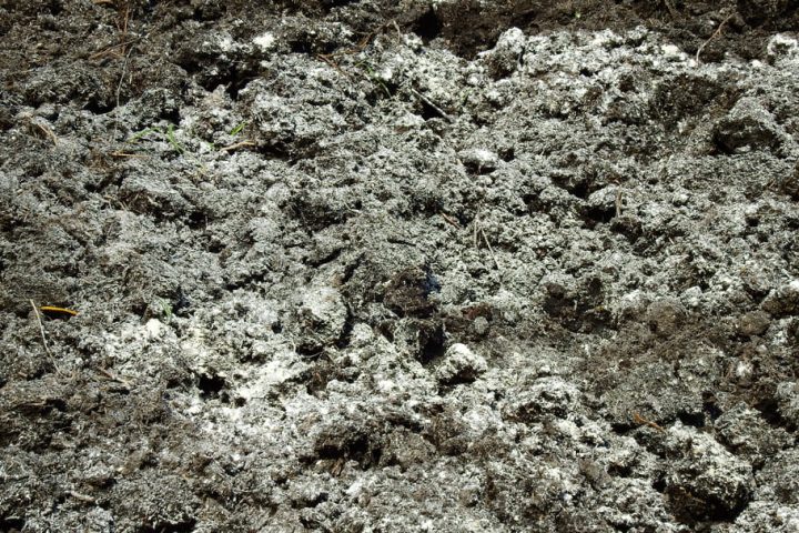 Comment Utiliser La Chaux Vive Au Jardin tout Chaux Jardin Comment Utiliser La Chaux Vive Au Jardin tout Chaux Jardin