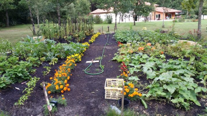 Conférence Organisation Du Potager Conférence Organisation tout Organisation Potager