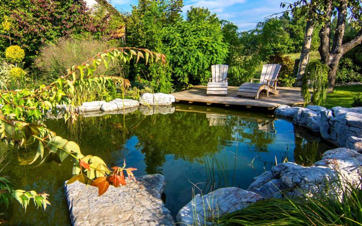 Construire Un Bassin De Jardin | Dossier Concernant concernant Construire Un Bassin De Jardin