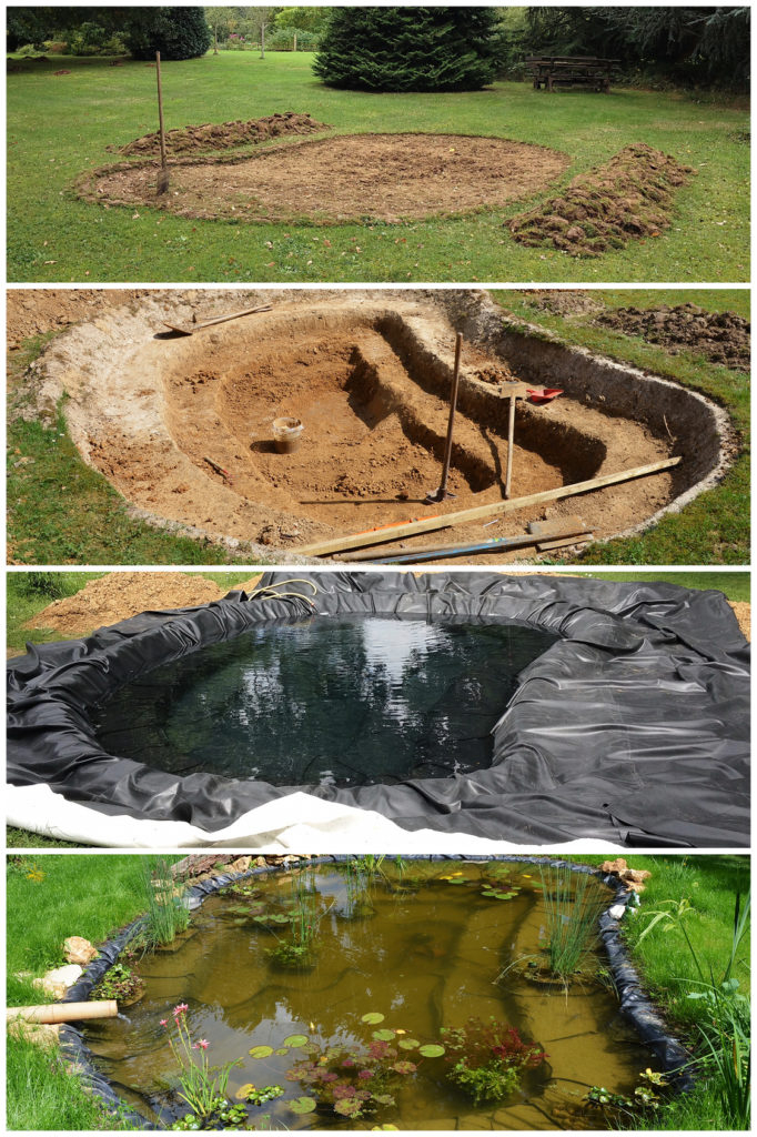 Construire Un Bassin De Jardin Pour Poissons – Magazine dedans Construire Un Bassin De Jardin