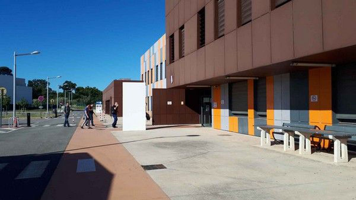 Coronavirus : L'apprentissage En Occitanie, Un Avenir à Chambre Des Métiers Montpellier