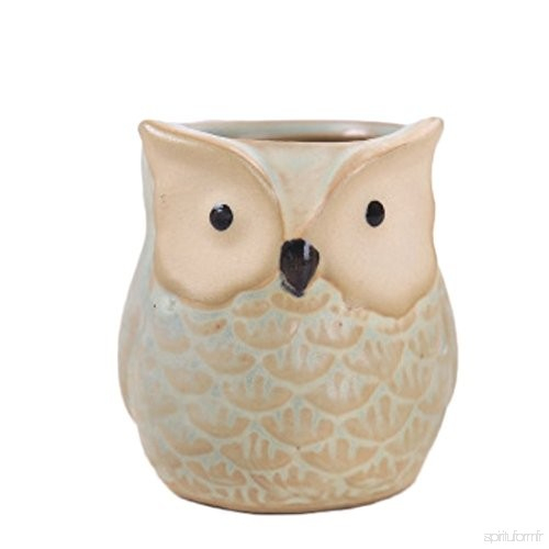Cosanter Petit Pots De Fleur Forme De Hibou Créatif pour Pot De Chambre Camping