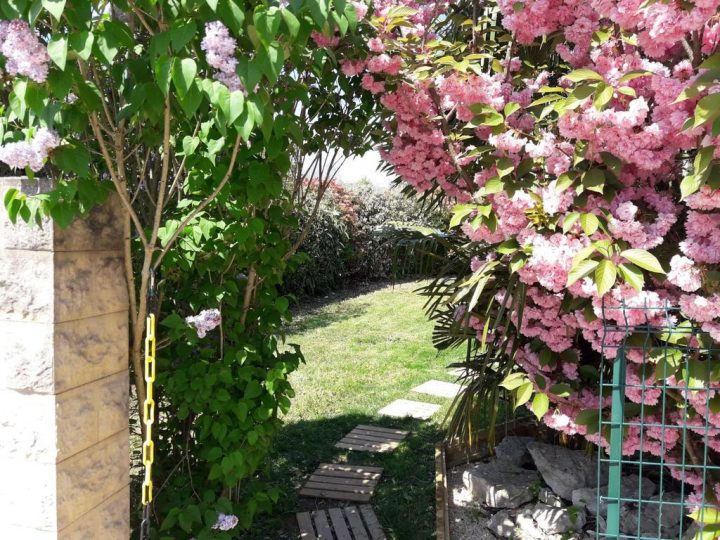 Cosystudio Site Du Futuroscope, Chasseneuil-Du-Poitou à Chambre D Hote Chasseneuil Du Poitou