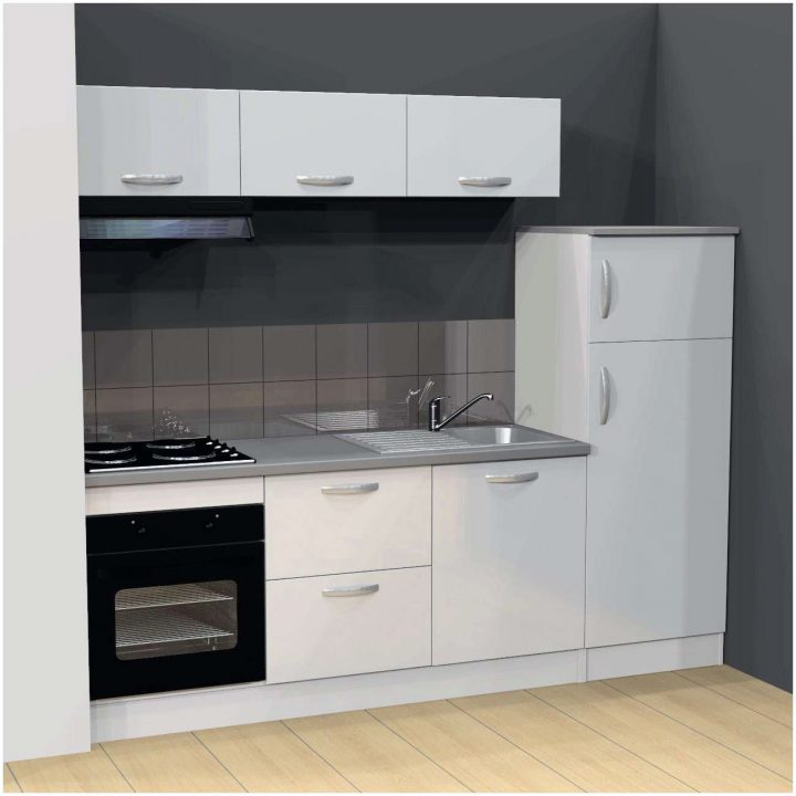 Cuisine Equipee Avec Electromenager Leroy Merlin Génial 15 à Incinérateur Leroy Merlin