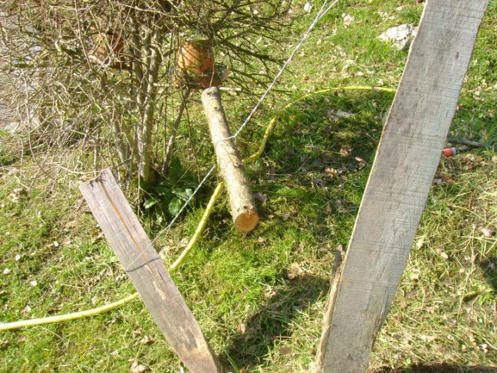 Cultures Palissées ( Tomates Et Concombres ) : – Le Jardin dedans Lithothamne Jardin Cultures Palissées ( Tomates Et Concombres ) : – Le Jardin dedans Lithothamne Jardin