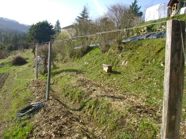 Cultures Palissées ( Tomates Et Concombres ) : – Le Jardin serapportantà Lithothamne Jardin Cultures Palissées ( Tomates Et Concombres ) : – Le Jardin serapportantà Lithothamne Jardin