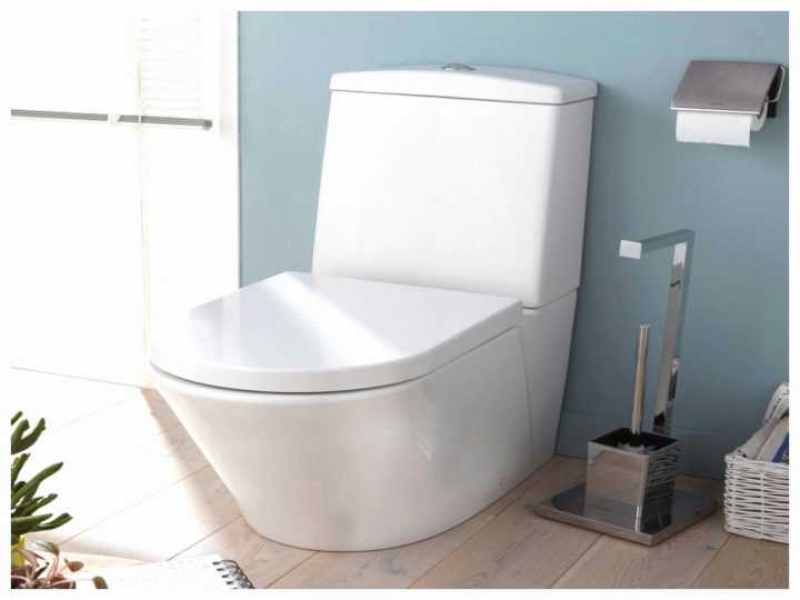 Cuvette Wc Castorama De Luxe Filtre Baignoire Cheveux serapportantà Wc Castorama