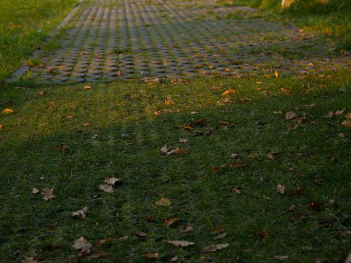 Dalle En Pvc À Engazonner Stella Green 50 X 50 Cm Ep 3.9 pour Dalle Plastique Jardin