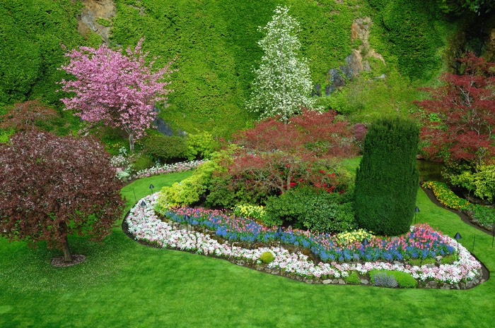 Déco D'Une Allée De Jardin (42 Idées) : Nos Conseils Pour destiné Idée Allée De Jardin Déco D'Une Allée De Jardin (42 Idées) : Nos Conseils Pour destiné Idée Allée De Jardin