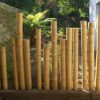 Decoration Exterieur Bambou - Le Spécialiste De La serapportantà Déco Jardin Bambou