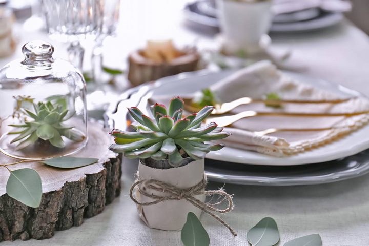 Des Plantes Dans Mon Bouquet De Mariée ! – Le Jardin Des intérieur Idée Cadeau Jardin Des Plantes Dans Mon Bouquet De Mariée ! – Le Jardin Des intérieur Idée Cadeau Jardin