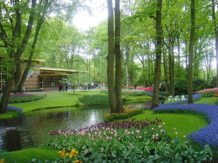 Descubre Tu Mundo: Destino: Los Espectaculares Jardines De tout Jardin De Keukenhof