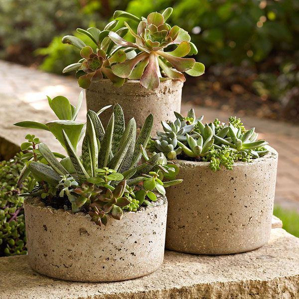 Diy Hypertufa Pots: Made From A Mixture Of Portland Cement encequiconcerne Vermiculite Jardin