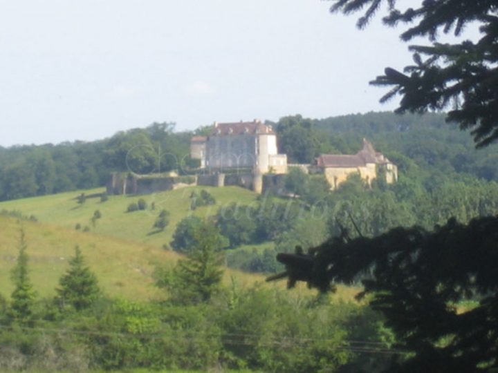 Domaine Le Vignaud : Chambre D'Hote Bourgnac, Dordogne destiné Chambre D Hote Severac Le Chateau