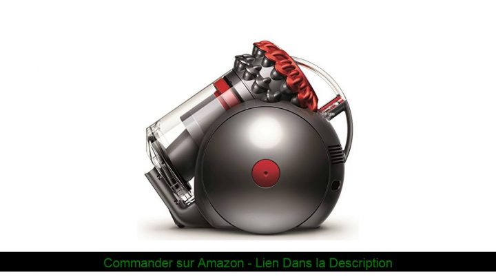 ✨ Dyson Big Ball Allergy destiné Robinet Dyson