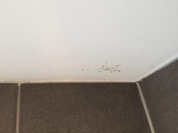 Éliminer Les Moisissures | Étape Par Étape | Brico.be tout Moisissure Plafond Salle De Bain