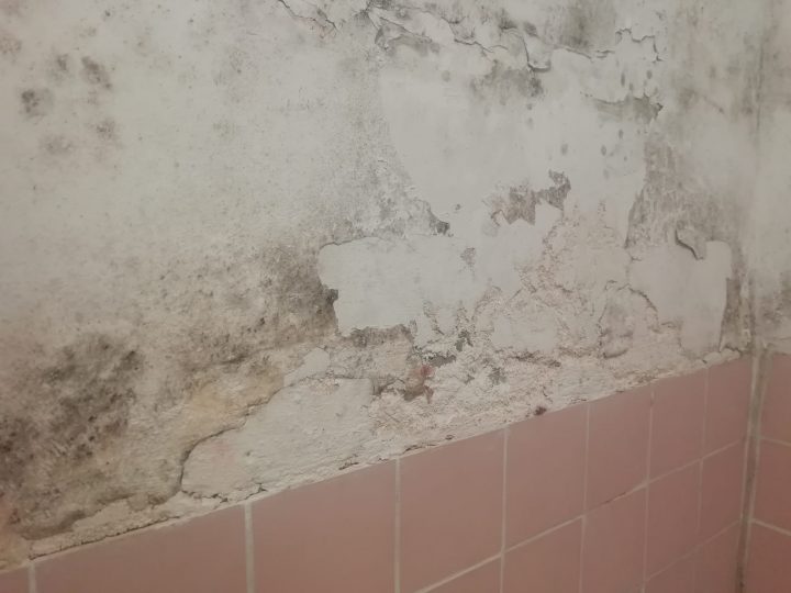 Enduit Salle De Bain – Linternaute avec Enduit Salle De Bain Imperméable