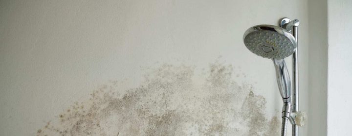 Enlever La Moisissure Dans Une Salle De Bain : Mode D'emploi serapportantà Moisissures Salle De Bain