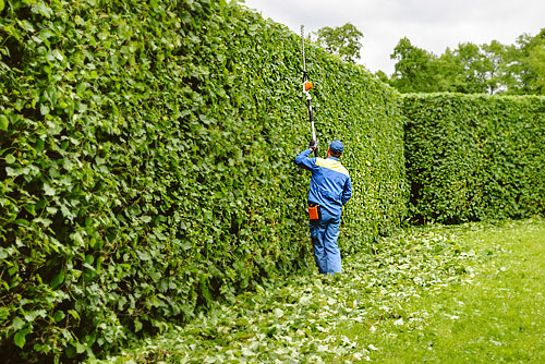 Entretien Du Jardin : Combien Va-T-Il Vous Coûter destiné Tarif Horaire Entretien Jardin