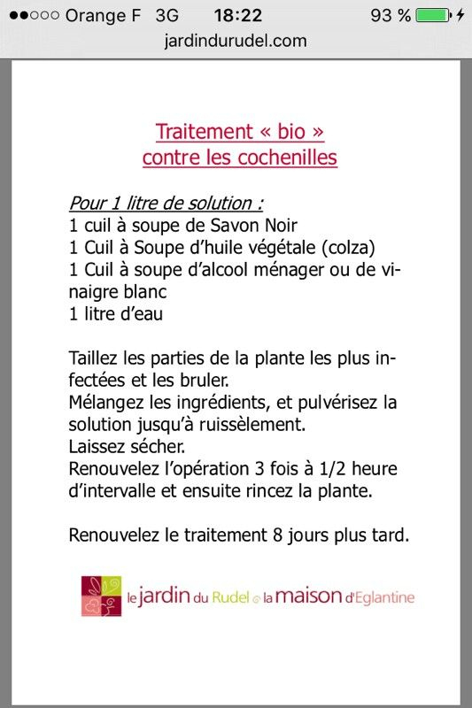 Épinglé Par Karine Jourdan Sur Jardin | Savon Noir, Huile avec Savon Noir Jardin