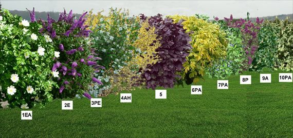 Épinglé Sur Extérieurs Maison à Créer Son Jardin Virtuel Gratuit En Ligne Épinglé Sur Extérieurs Maison à Créer Son Jardin Virtuel Gratuit En Ligne