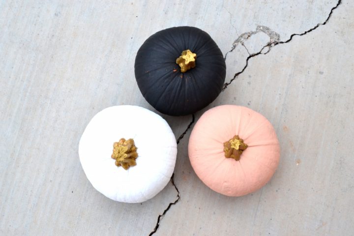 Equal Opportunity For Fall destiné Potiron Meubles Equal Opportunity For Fall destiné Potiron Meubles