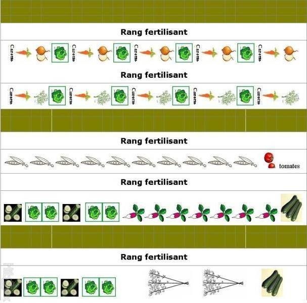 Exemples De Plans De Potager Et De Contenus De Potager tout Plan Jardin Gratuit En Ligne Exemples De Plans De Potager Et De Contenus De Potager tout Plan Jardin Gratuit En Ligne