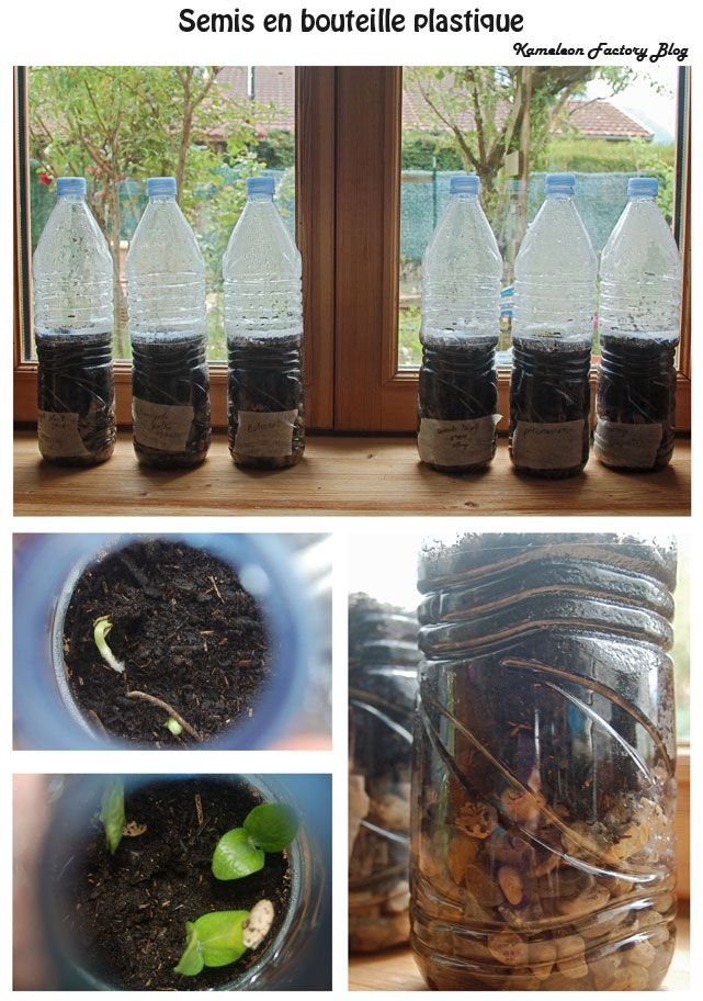 Faire Des Semis Dans Des Bouteilles Plastique? La Bonne pour Fabriquer Une Serre De Jardin Faire Des Semis Dans Des Bouteilles Plastique? La Bonne pour Fabriquer Une Serre De Jardin