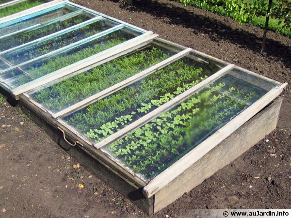 Faire Ses Semis Sous Abri encequiconcerne Chassis De Jardin