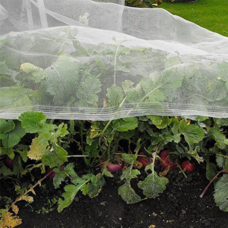 Filet De Protection Maille Fine : Trouver Les Meilleurs tout Filet De Protection Jardin