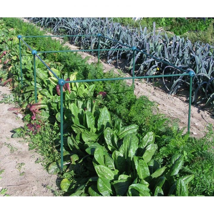 Filet De Protection Pour Potager 2X1 M | Jardin Et Saisons avec Filet De Protection Jardin