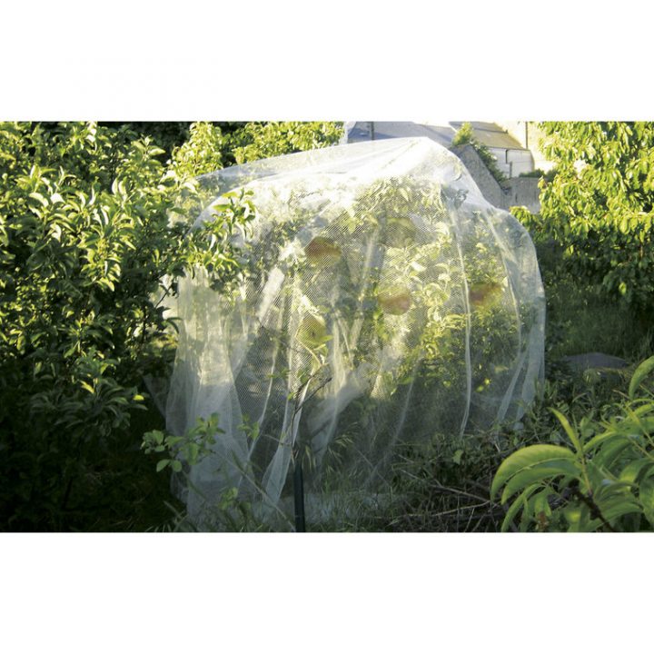 Filet De Protection Protect Fruit 5,20X5M : Protection Des serapportantà Filet De Protection Jardin
