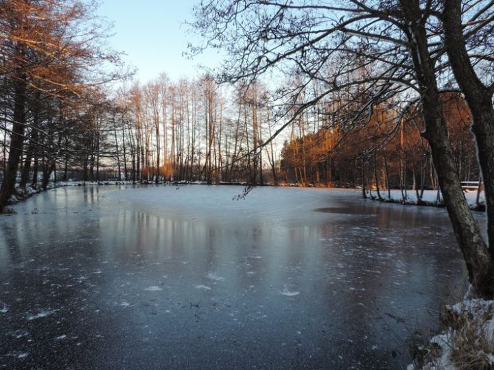 Fin Janvier 2017 – Le Domaine Du Lac À Rocroi: Chambres Et intérieur Chambre D Hote Clairvaux Les Lacs
