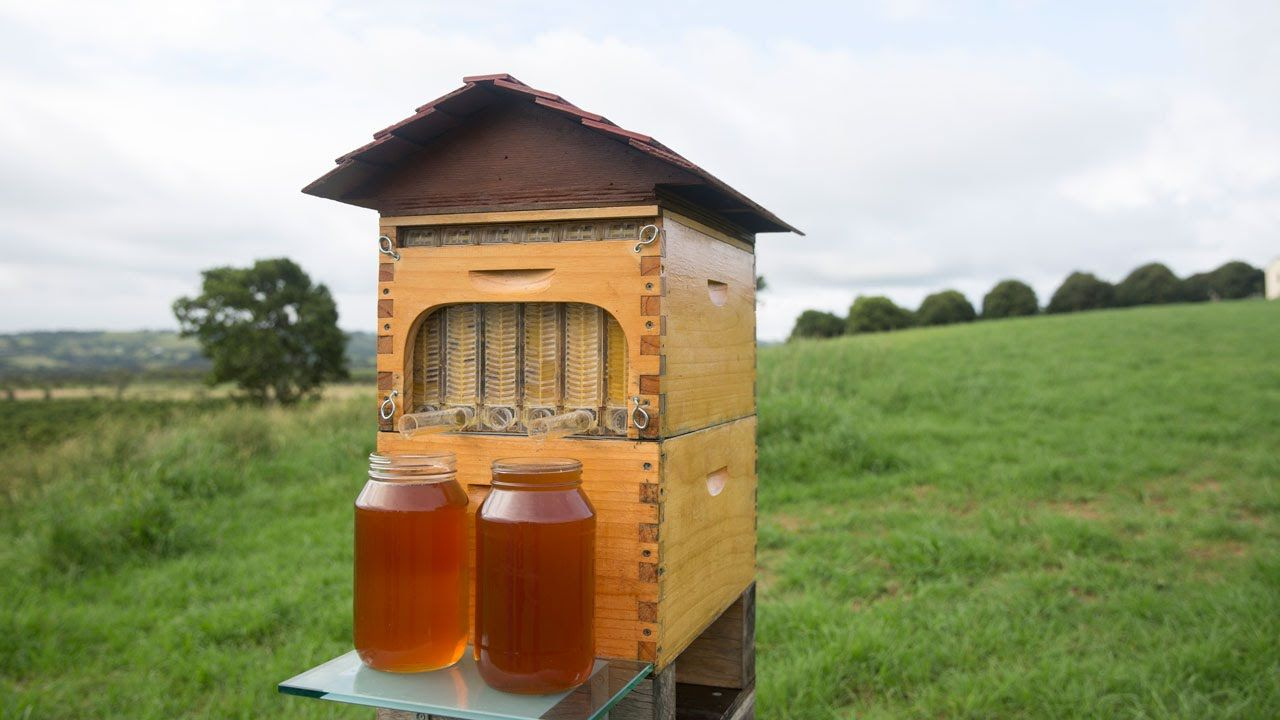 Flow, A Simple Beekeeping Box With Built-In Taps For dedans Ruche A Robinet