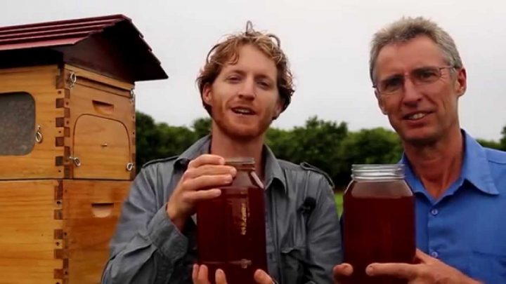 Flow Hive : La Ruche Révolutionnaire Avec Robinet Pour Faire Du Miel Sans  Nuire Aux Abeilles à Ruche Robinet