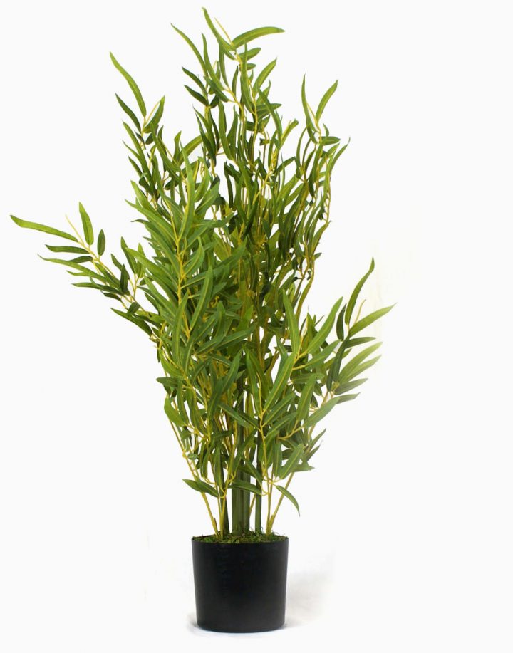 Frais Serre De Jardin En Bambou – Homewareshop encequiconcerne Serre De Jardin Carrefour