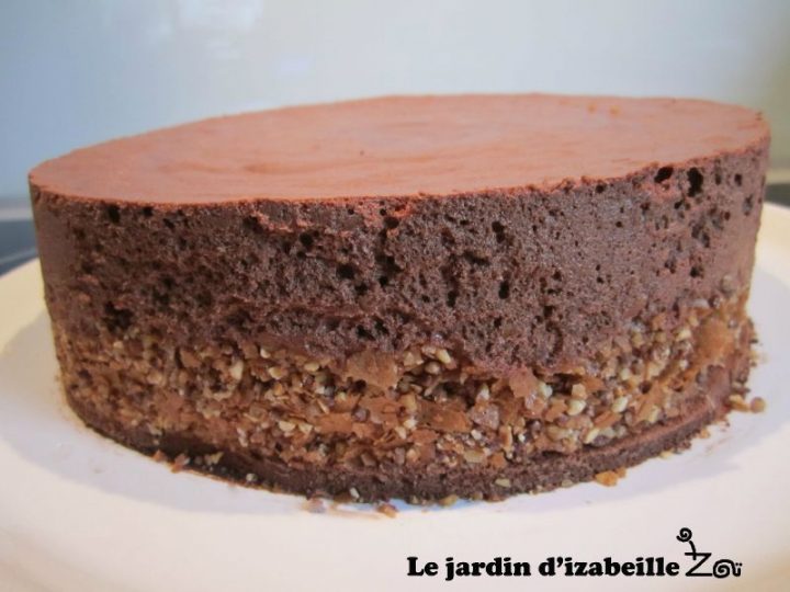 Gâteau Tout Choco Et Praliné – Le Jardin D'Izabeille à Pralin Jardin Gâteau Tout Choco Et Praliné – Le Jardin D'Izabeille à Pralin Jardin