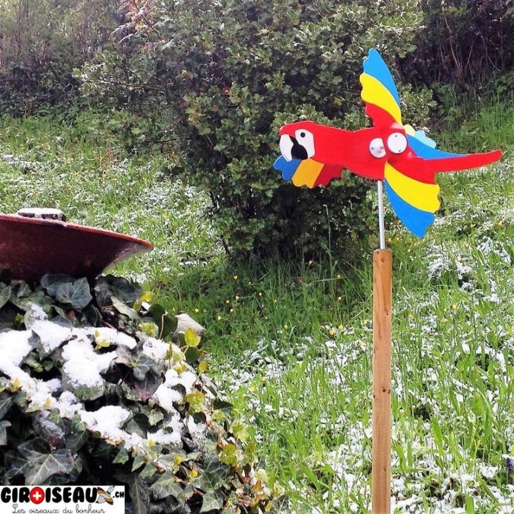 Girouette Bois Decoration Jardin Perrroquet destiné Girouette De Jardin