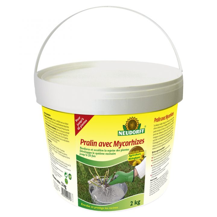 Graines De Poireau – Comment Les Faire Au Jardin Potager avec Pralin Jardin Graines De Poireau – Comment Les Faire Au Jardin Potager avec Pralin Jardin