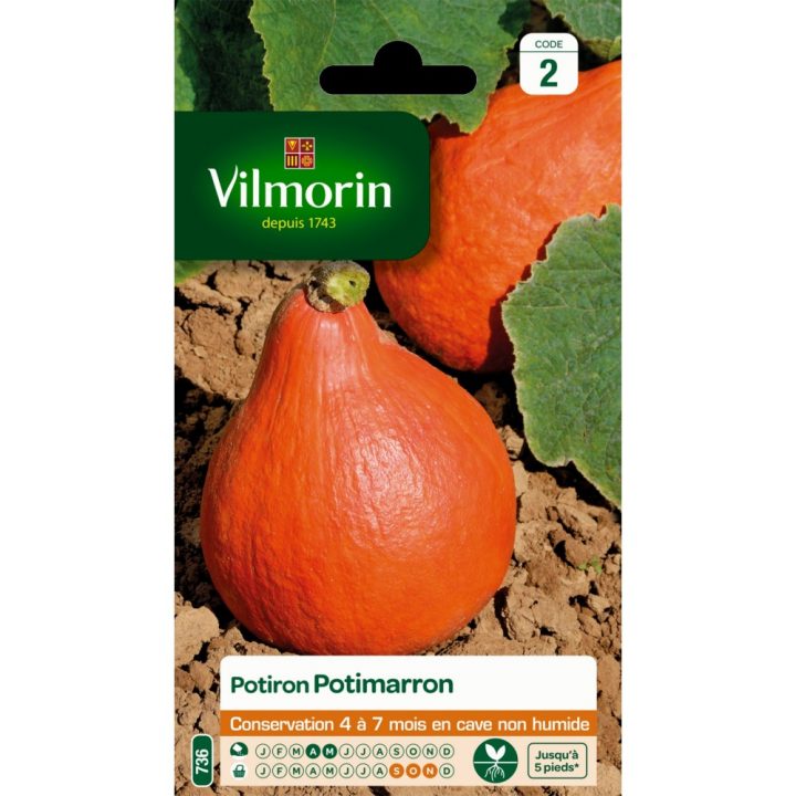 Graines Potiron Potimarron Vilmorin dedans Potiron Meuble Graines Potiron Potimarron Vilmorin dedans Potiron Meuble
