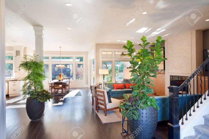 Grand Salon Intérieur Avec Parquet Massif, Plantes, Salle À Manger, Et  Cheminée À New Luxury Home avec Parquet Salon Salle A Manger