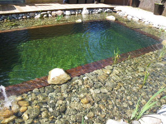 Guide D'Achat Pour Votre Bassin De Jardin Sur serapportantà Construire Un Bassin De Jardin