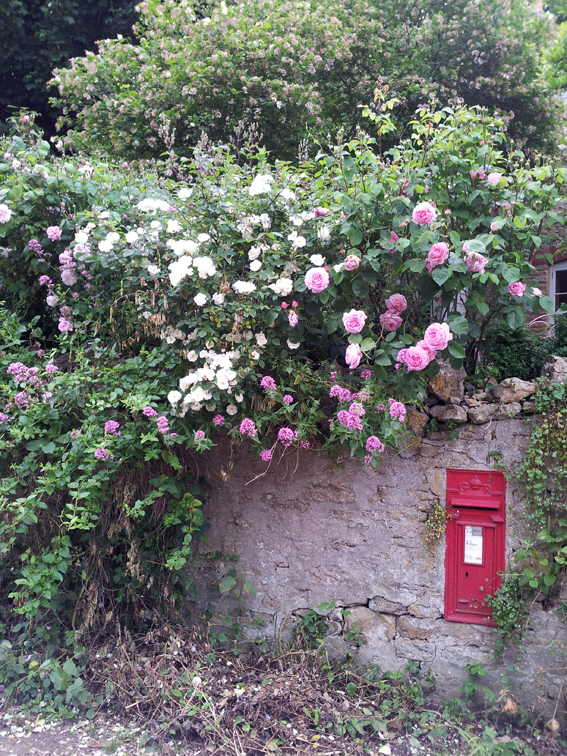 Hadspen Garden destiné Loveuse Jardin