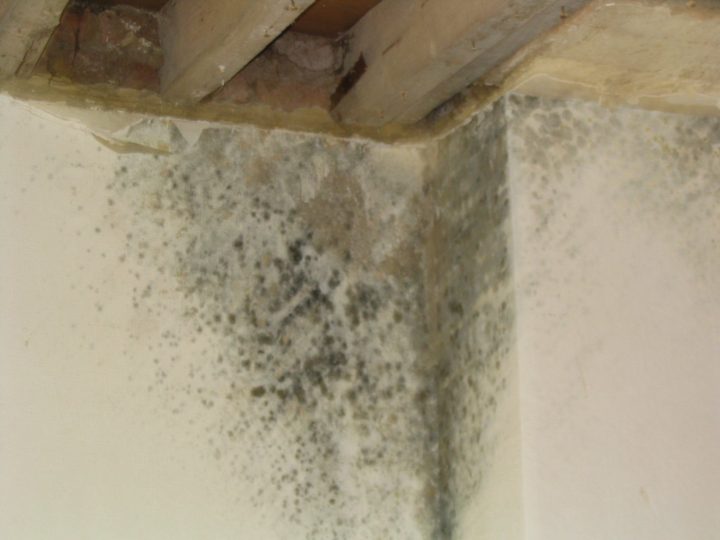 Hydrotec | Ct Éviter Les Moisissures Dans La Maison ? intérieur Moisissure Plafond Salle De Bain