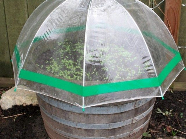 Idée Bricolage : Comment Fabriquer Une Mini Serre Soi-Même à Fabriquer Une Serre De Jardin Idée Bricolage : Comment Fabriquer Une Mini Serre Soi-Même à Fabriquer Une Serre De Jardin