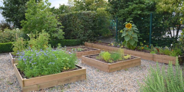 Idée Cadeau : Le Potager Pour Deux dedans Idée Cadeau Jardin Idée Cadeau : Le Potager Pour Deux dedans Idée Cadeau Jardin