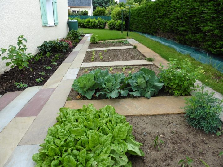 Idée Jardin Et Création D'Un Potager Avec Mes Conseils Jardin intérieur Delimitation Jardin
