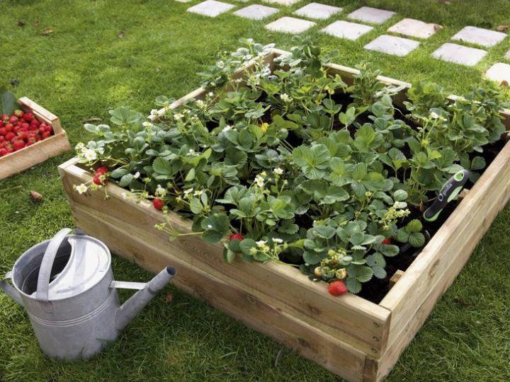 Idees Cadeau Pour La Future Maison intérieur Idée Cadeau Jardin Idees Cadeau Pour La Future Maison intérieur Idée Cadeau Jardin