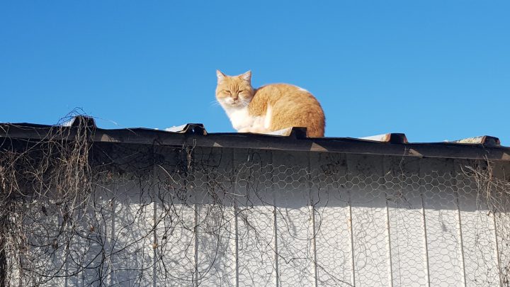 Ile D’yeu – Dormir En Jolie Chambre D’hôtes – Bulles De serapportantà Chambre D Hote Ile D Yeu Ile D’yeu – Dormir En Jolie Chambre D’hôtes – Bulles De serapportantà Chambre D Hote Ile D Yeu